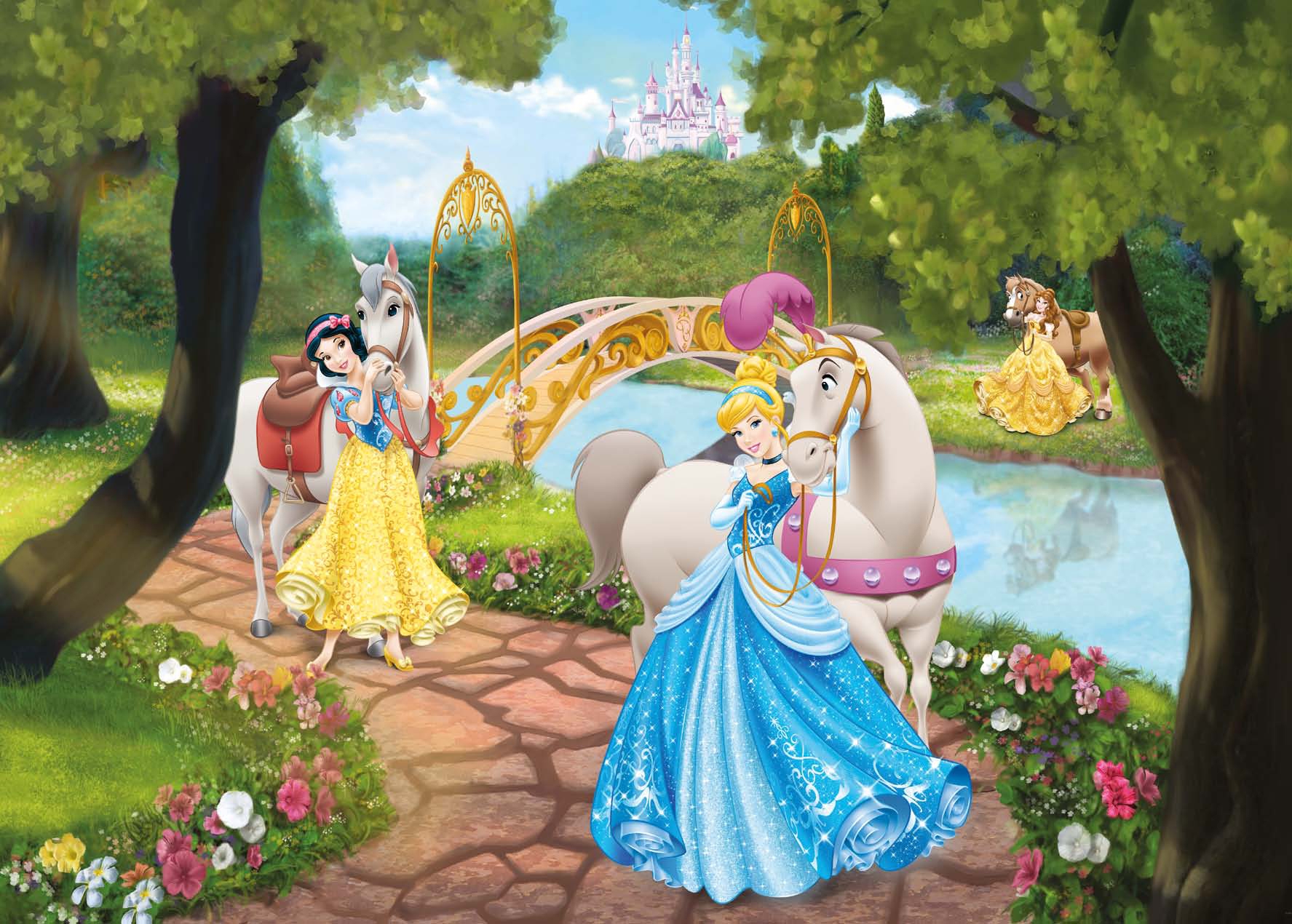 Poster mural princesses disney en ballade panoramique komar so nuit